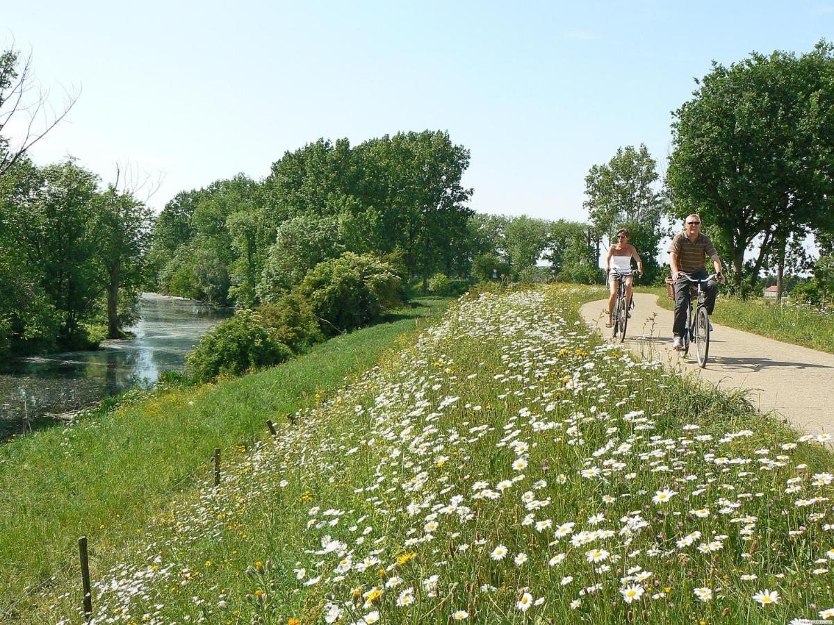 Camping De Binnenvaart Superior Chalet Aan de Wolfsberg Kültér fotó